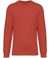 NS400 Unisex Crew Neck Sweatshirt Paprika colour image